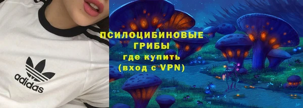 спайс Абаза