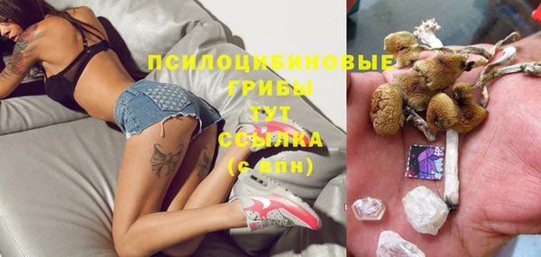 спайс Абаза