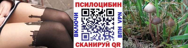 Псилоцибиновые грибы Psilocybine cubensis  Советский 