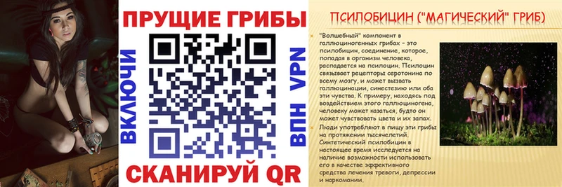 Псилоцибиновые грибы Psilocybine cubensis Советский